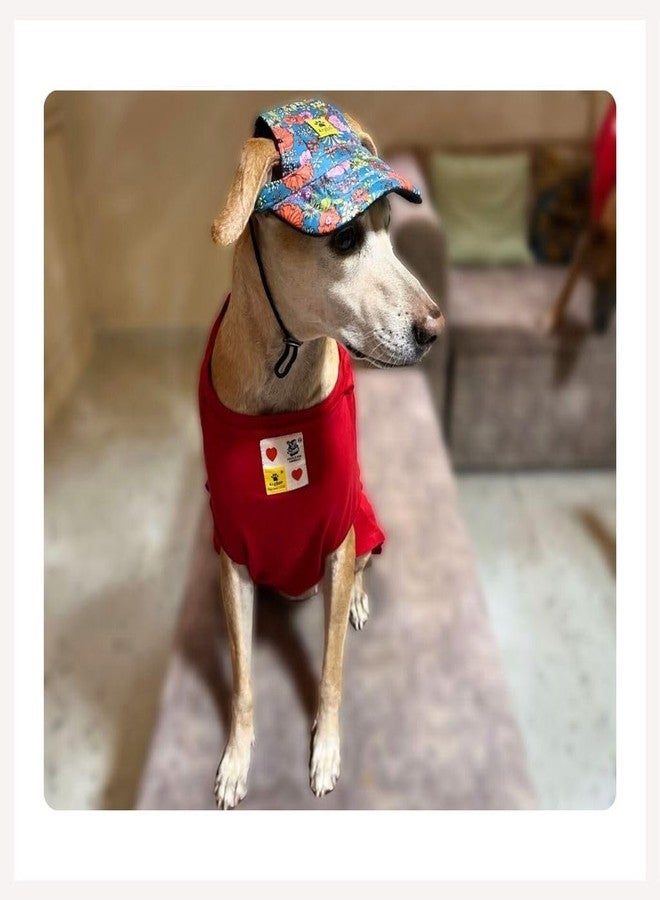 A+a Pets' Stylish Baseball Cap for Dogs & Cats | Adjustable Toggle| Printed Waterproof | for Everyday, Summer, and Rainy Days (S) - Image 1